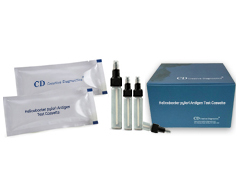 CDIA<sup>TM</sup> Helicobacter pylori Antigen Test Cassette